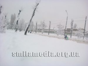Фото0873 (2)