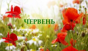 погода червень