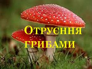 отруєння грибами