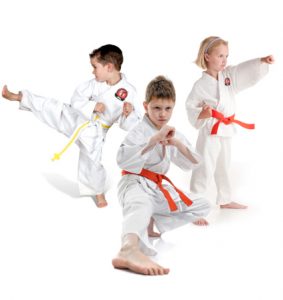 a young boy doing martial arts moves.