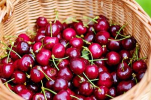 cherries-35322