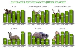 КІЛЬКІСТЬ-ТВАРИН-2020_новый размер