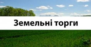 земельні торги