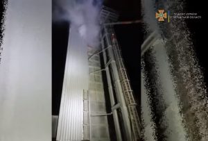 зеиносушарка