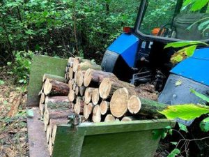 заготівлю дров